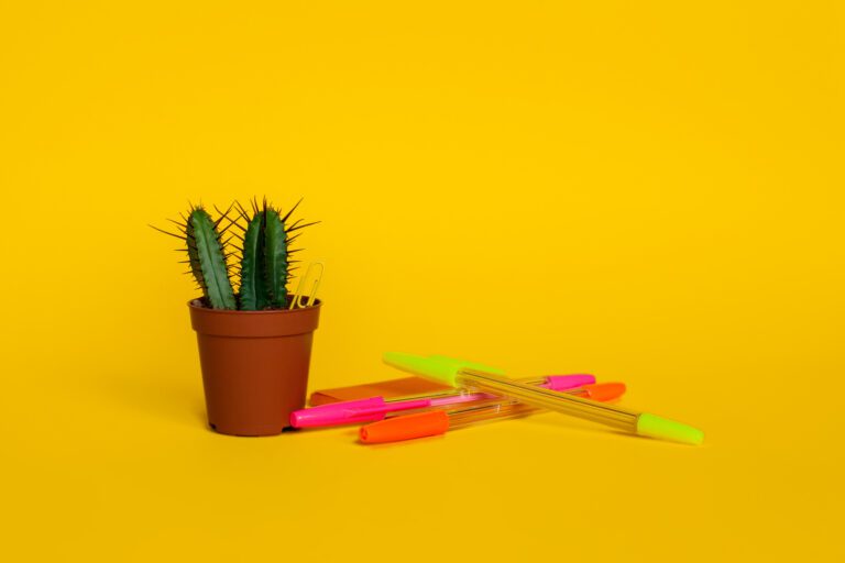 Bright stationery pens with sheets for writing and a cactus in a pot on a bright yellow background. Back to school. Side view.