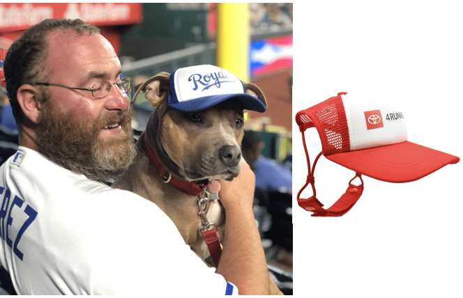 man with dog wearing Royals hat next to isolated Toyota dog hat